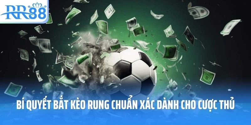 Bí quyết bắt kèo rung chuẩn xác dành cho cược thủ