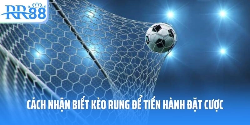 Cách nhận biết kèo rung để tiến hành đặt cược