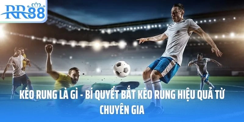 Bí quyết bắt kèo rung chuẩn xác cùng https://peteralexander.sa.com/