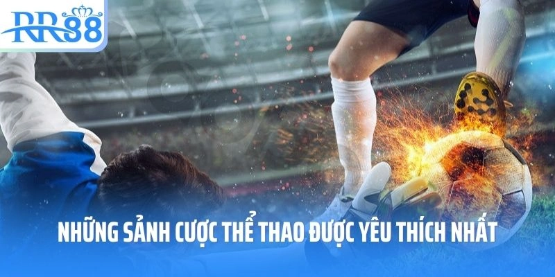 Những sảnh cược thể thao được yêu thích nhất